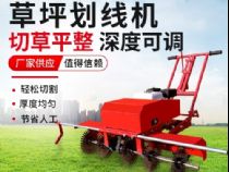 點(diǎn)擊查看詳細(xì)信息<br>標(biāo)題：草皮劃線機(jī) 閱讀次數(shù)：3085